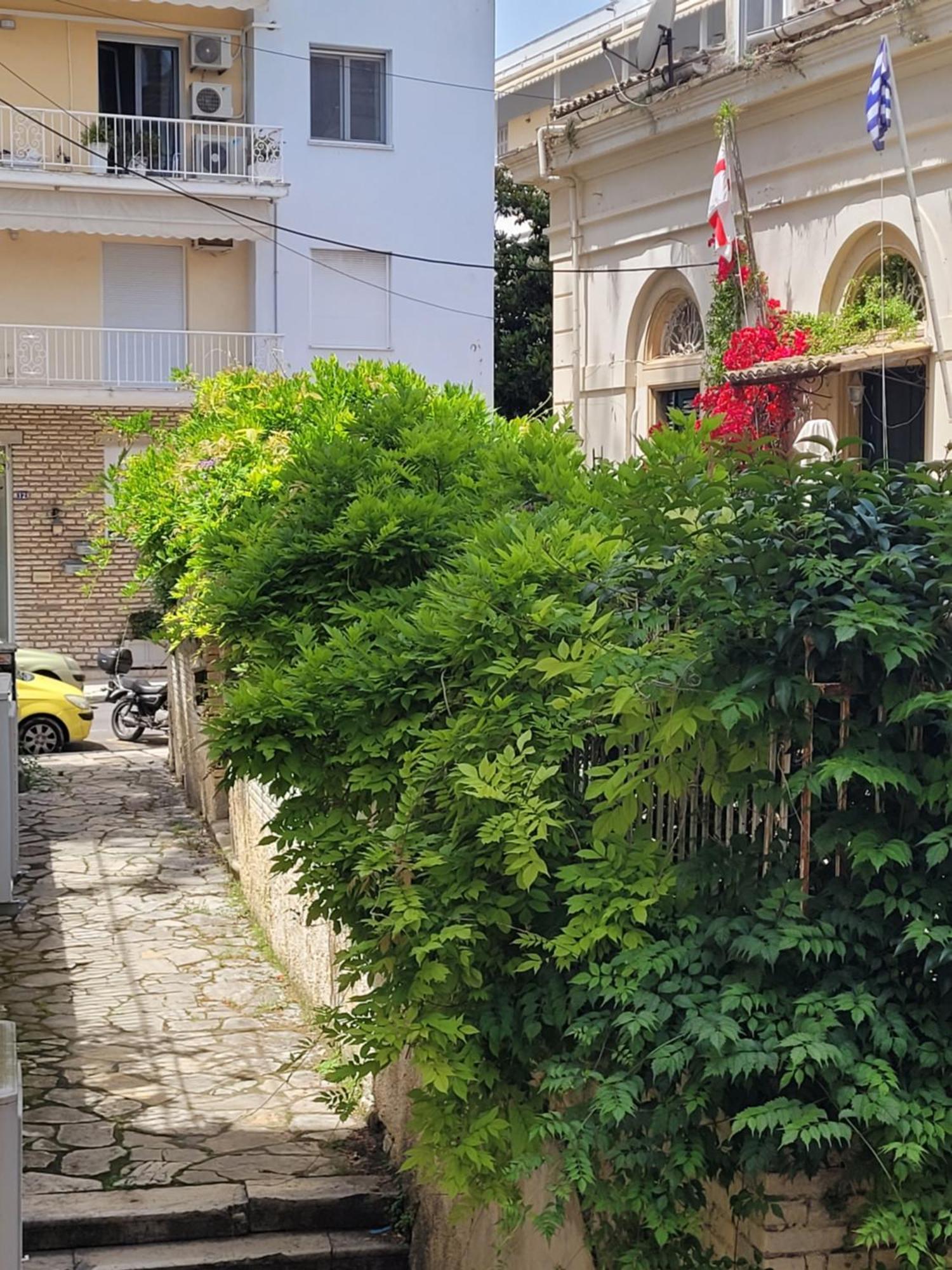 Antonietta Corfu Apartman Corfu  Kültér fotó